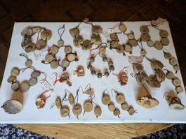 22x Organic Natur Bernstein Schmuck Levestam Restposten
