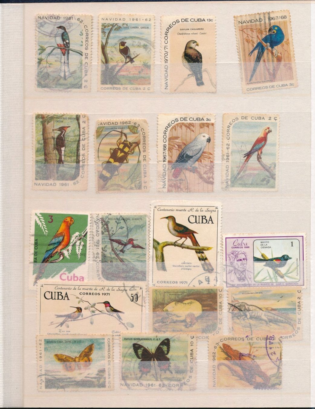 Tutti i francobolli: Briefmarkenalbum Cuba – Usato da Bonau venduto da Profila3 3
