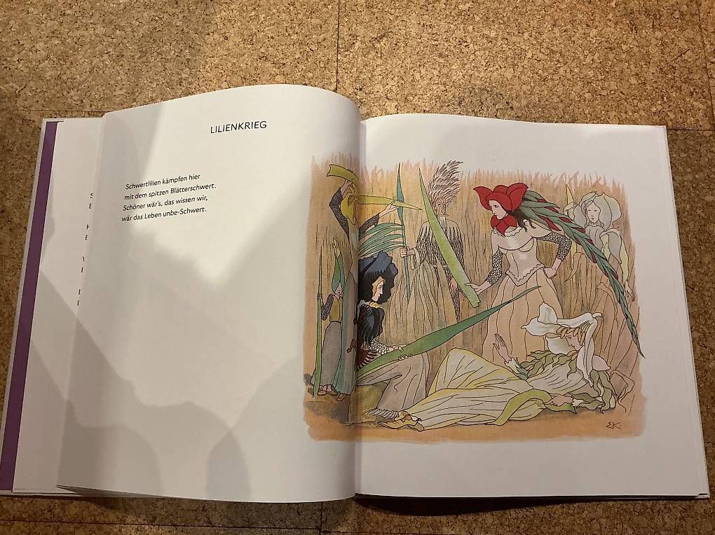 Libri: Kreidolf  – Usato da Liebefeld venduto da Faktum 3