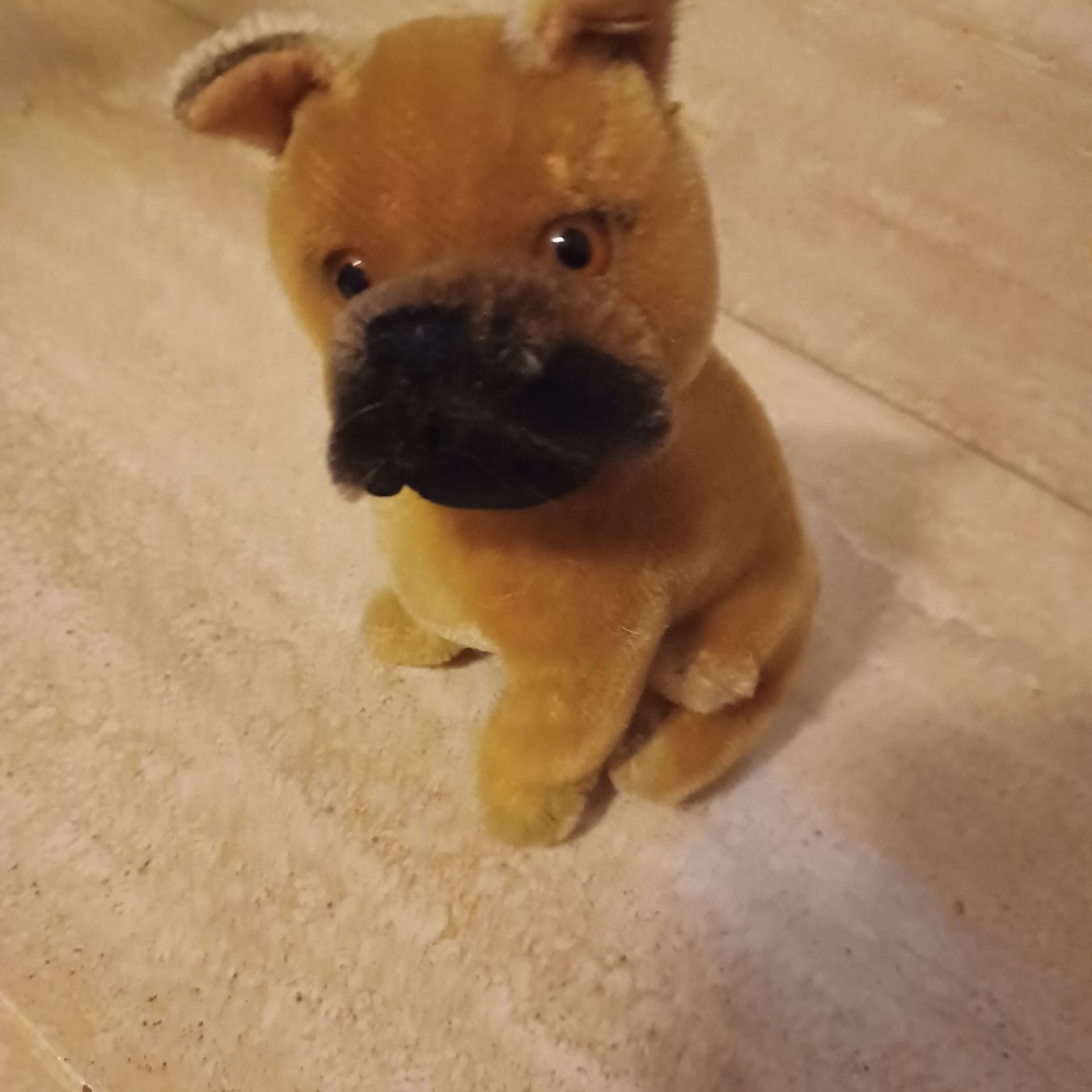 Steiff Spielzeuge: süsser kleiner Boxer von Steiff 14 cm gross – Gebraucht aus Abtwil SG von luupsy 3