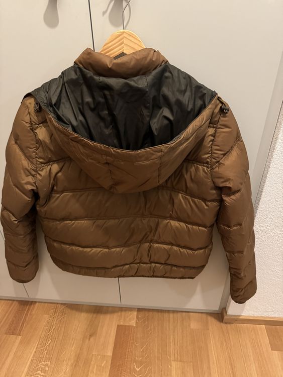Doudoune massimo dutti hotsell
