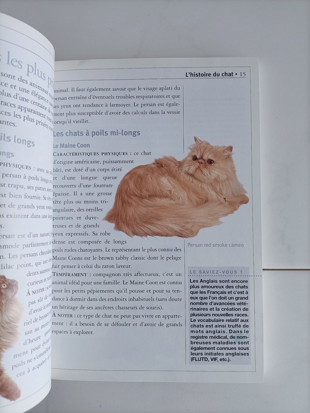 Bücher: Le guide du chat / Angela Gair / Marabout 2001 – Gebraucht aus crans montana von AB3963 2