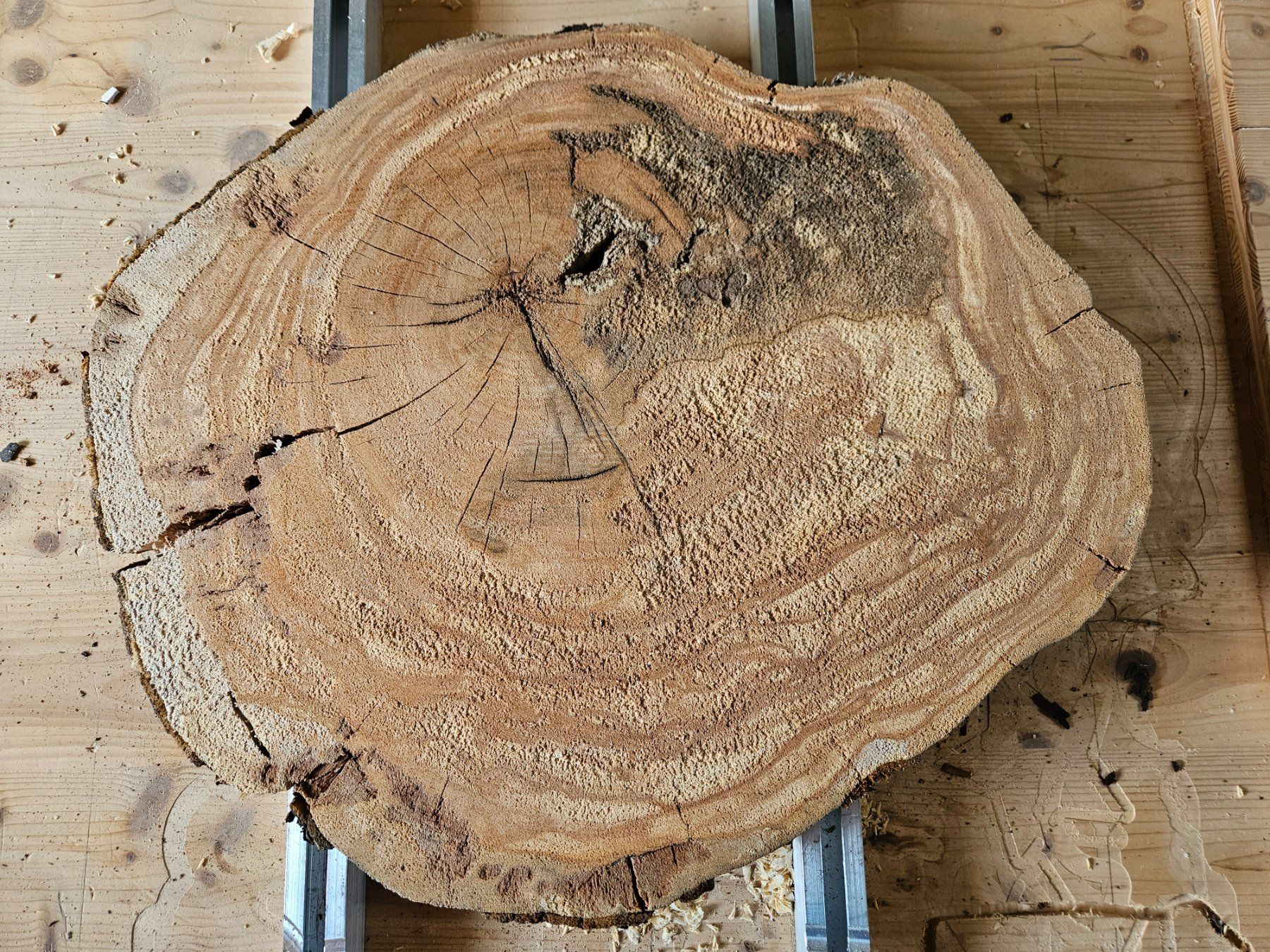 Articles en bois: Baumscheibe Kirschbaum Holz – Neuf (Voir description) à Schangnau par egli6.2 2