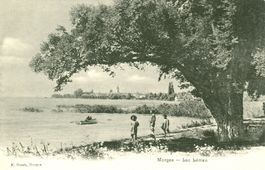 Morges - Lac Léman