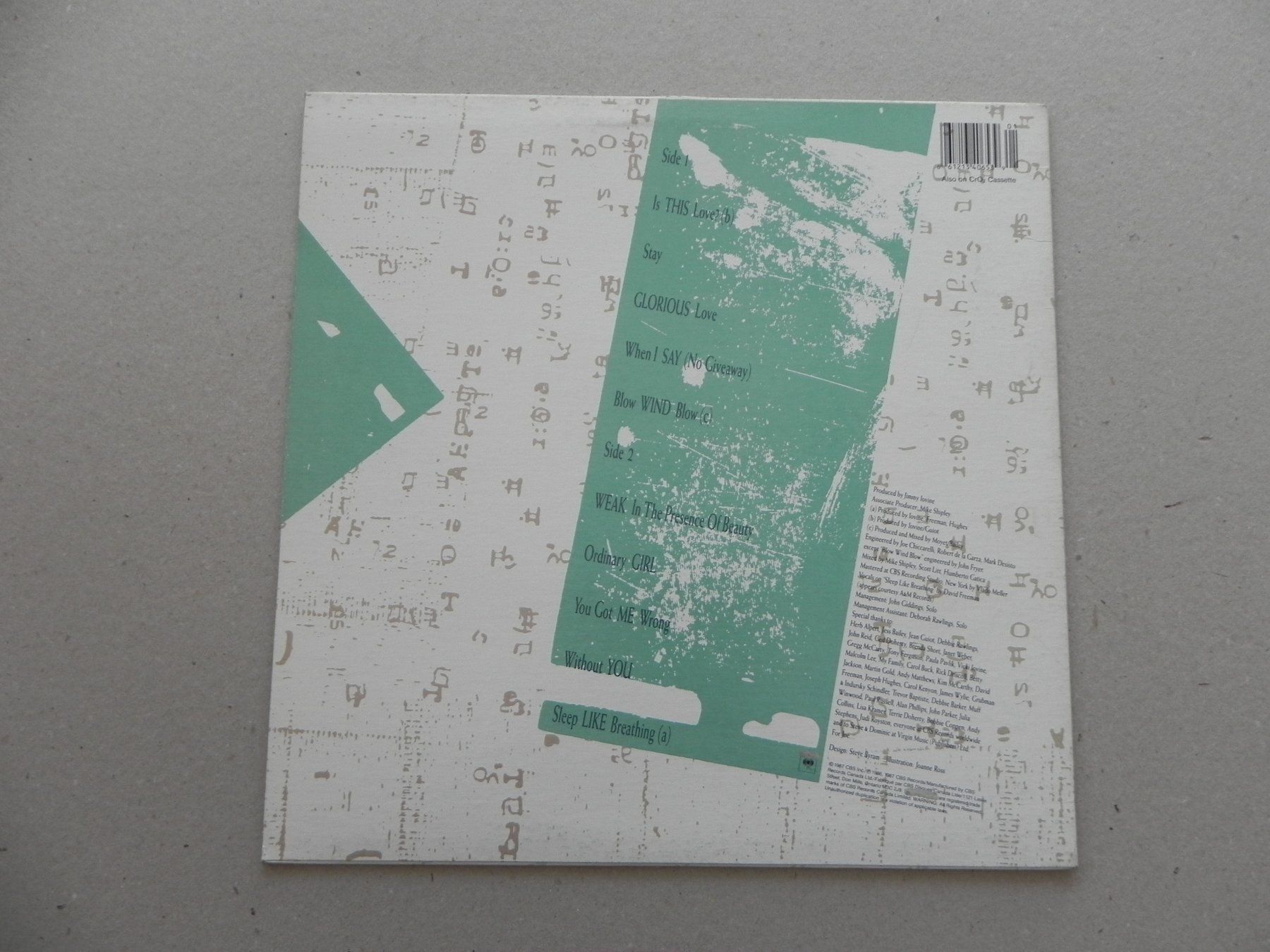 Dischi in vinile: LP brit Synth Pop Alison Moyet 1987 – Usato da Siebnen venduto da krimsie 1
