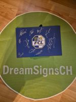 Signiertes Fc Luzern Bild
