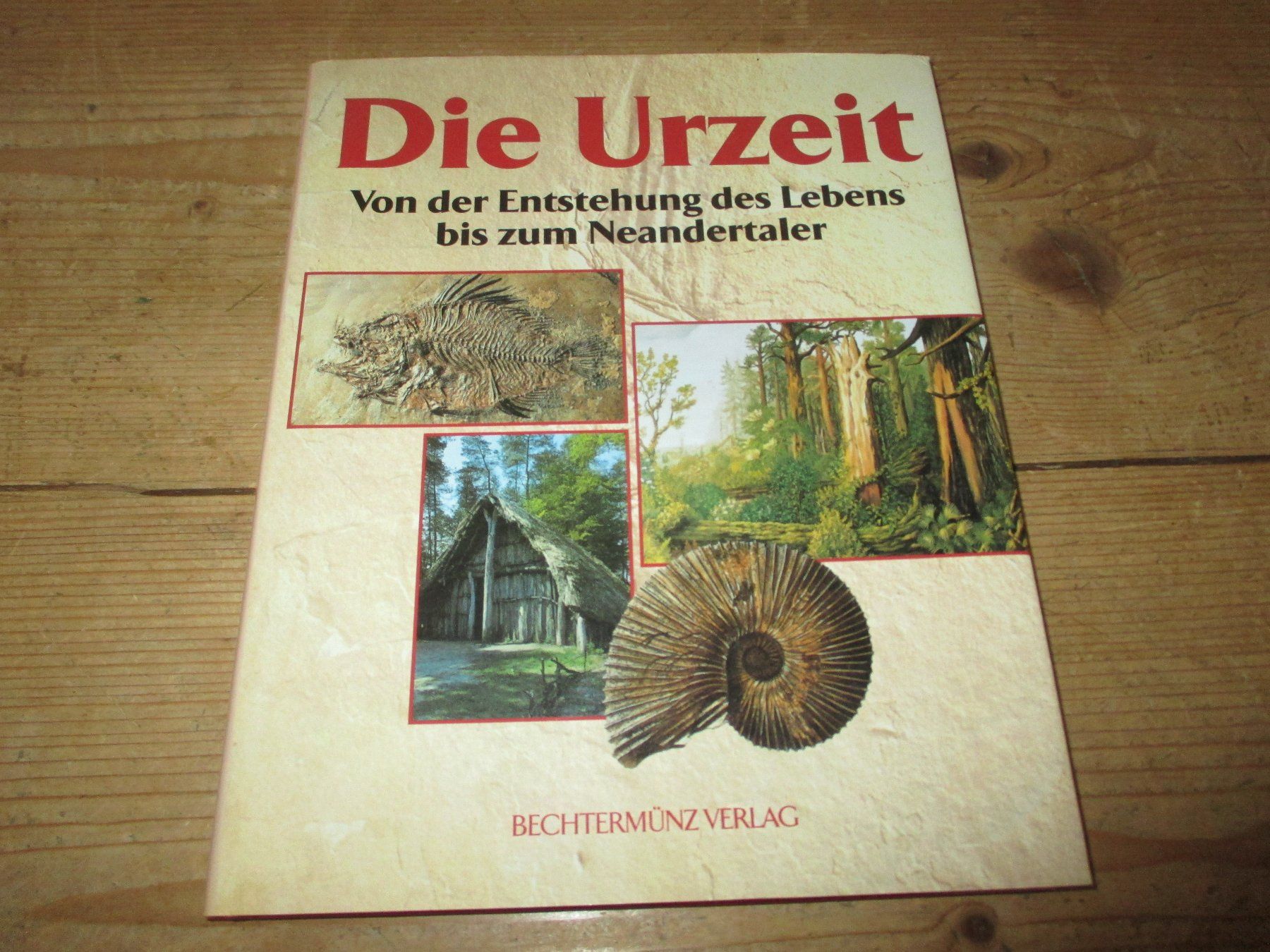 Bücher: Die Urzeit – Gebraucht aus Flims - Dorf von Stagediver