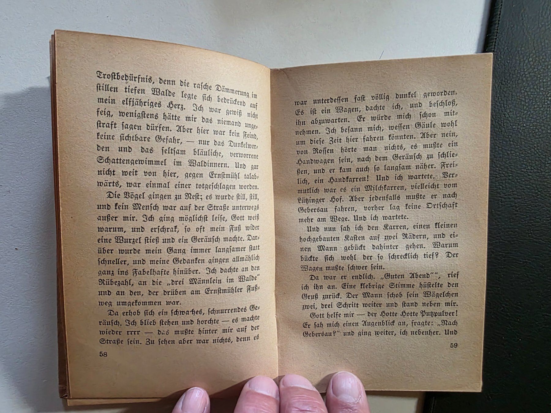 Libri: Hermann Hesse - Am Weg - 1916 – Usato da Walterswil BE venduto da Lonitti 9