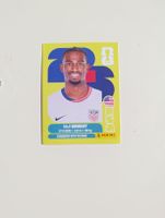 Panini World Cup 2026 USA 19
