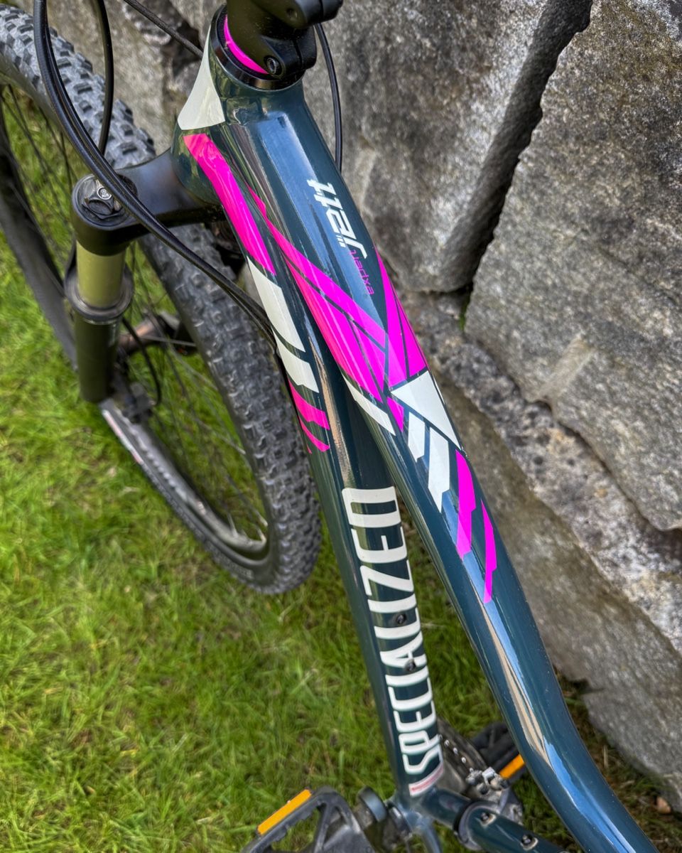 Specialized Biciclette: Specialized JETT EXPERT 29 Damen MTB – Usato da Niedergösgen venduto da Dimo9455 1