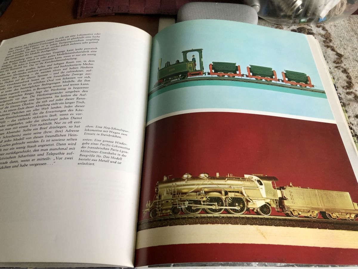 Libri: Das grosse Buch der Modelleisenbahn - International – Usato da Balsthal venduto da hammer008 2