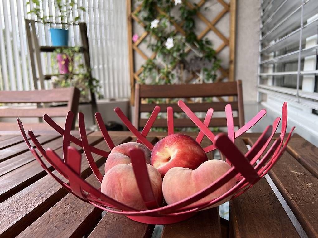 Piatti di portata: Coupe de fruits design rouge – Usato da Versoix venduto da L_armoire_d_isa