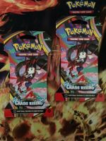 Pokémon Chaos Rising