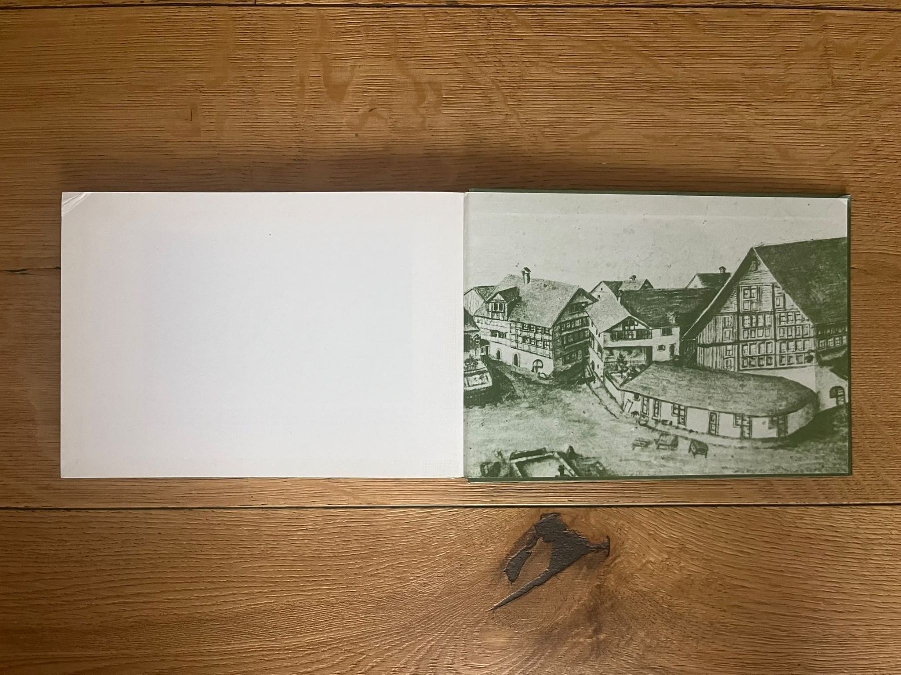 Libri: Das Rheintal um 1900 – Usato da Altdorf UR venduto da luk_2p75 5