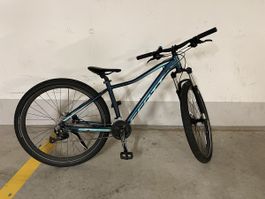 Scott Mountainbike Damen Contessa 40 Gr. S