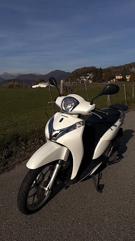 Scooters: Sh 125 scooter 125 – Gebraucht aus Magliaso von cal_7gyz