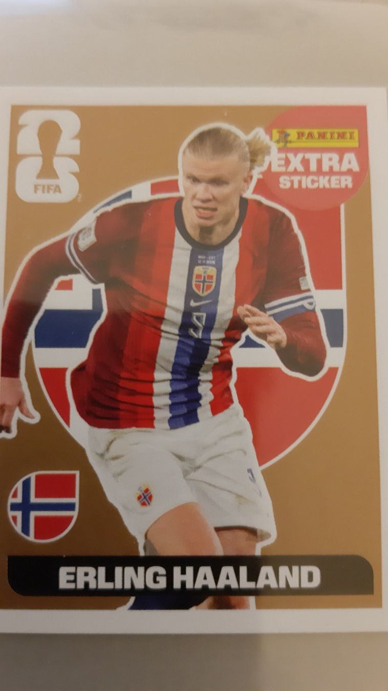 Panini Carte collezionabili: Panini Extra Sticker Haaland Bronze – Nuovo (secondo la descrizione) da Bern venduto da Aschilos171961