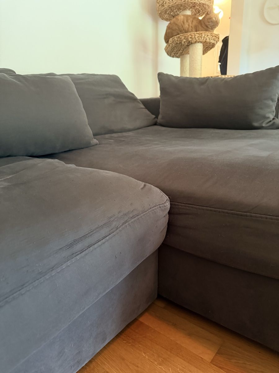 Sofas: Sofa Darwin Micasa – D'occasion à Luzern par LauraLynnMeier 5