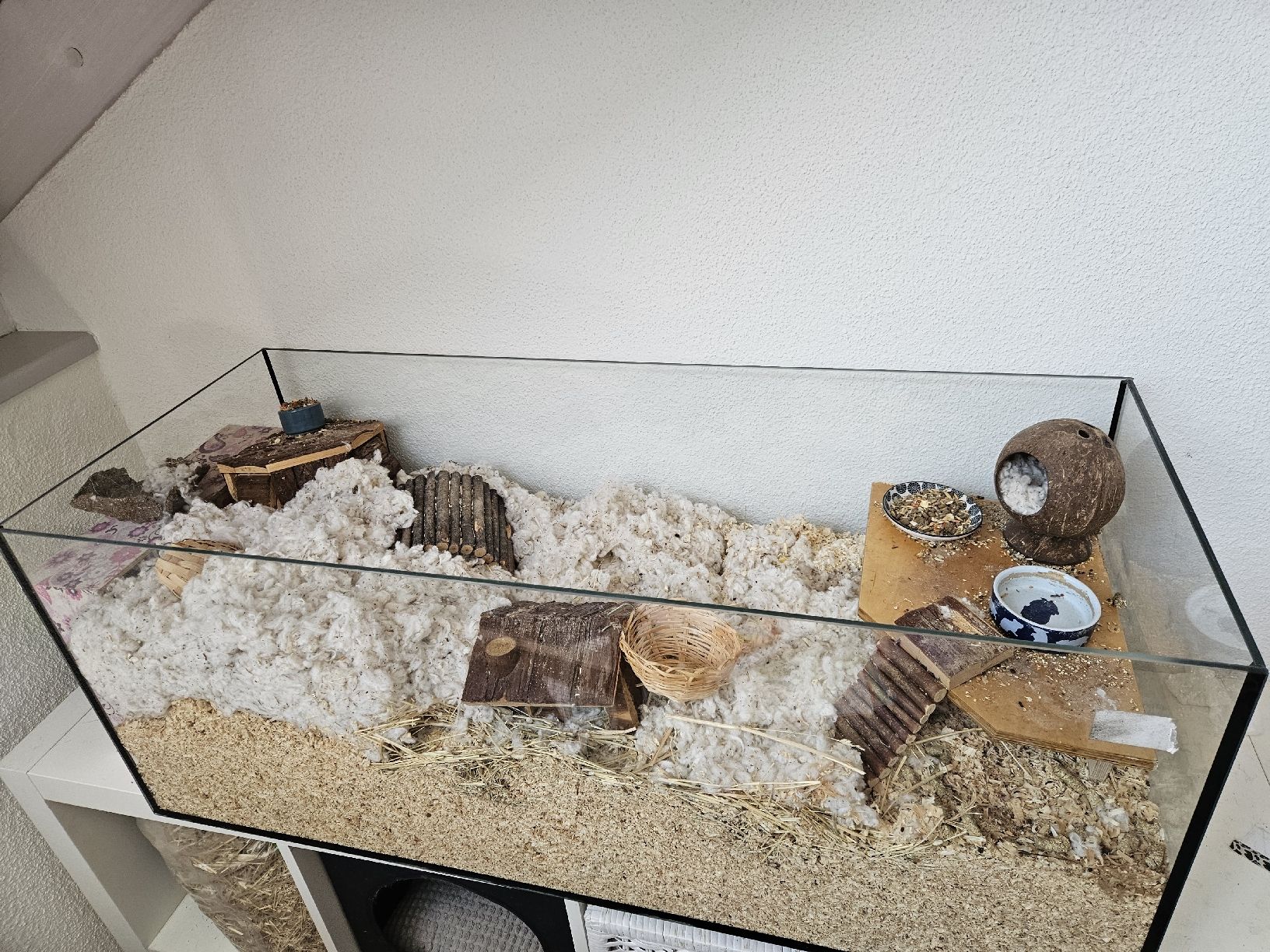 Gabbie, trasporto & Sicurezza: Terrarium/Hamsterkäfig – Usato da Ormalingen venduto da Lester11 1