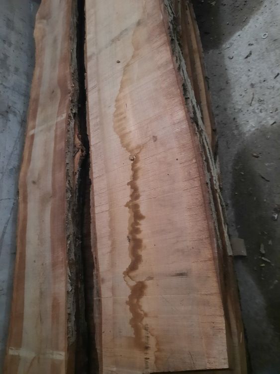 Articoli in legno: Nussbaum Klotzbretter-Stamm – Usato da Chur venduto da ivon68 4