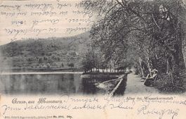 Gruss aus Mammern, Allee der Wasserkuranstalt, gelaufen 1905