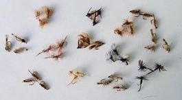 39 Stück verschidene Fliege Nymphen