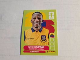 Panini  2026 PERVIS ESTUPINAN ECU 5
