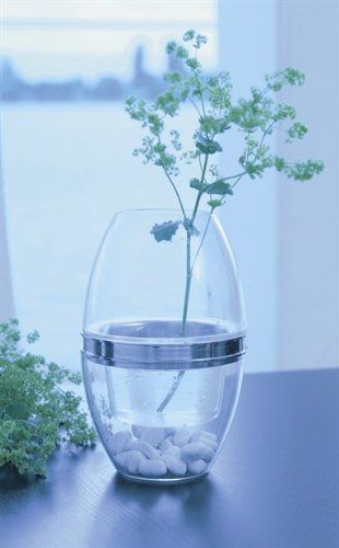 Vasi & Recipienti: Herstal "Events" Vase – Usato da Zürich venduto da schaalando