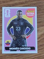 Panini Extra Sticker Moses Caicedo Ecuador ⚽️