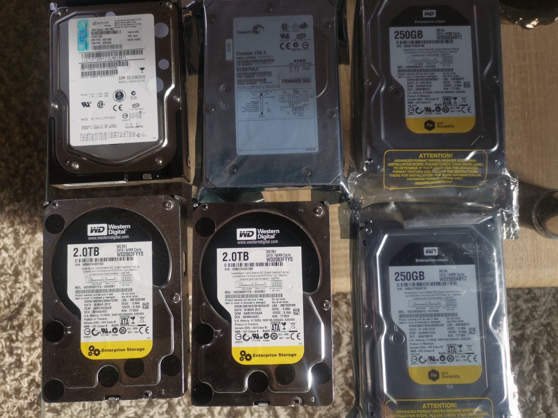 Western Digital Dischi rigidi: Harddisks neu – Nuovo (secondo la descrizione) da Vordemwald venduto da Calli-girl
