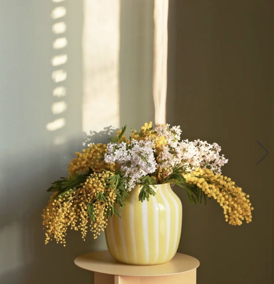 Hay Vase & Récipients: HAY - Juice Vase – Neuf (Voir description) à Lyss par francesca.g 1