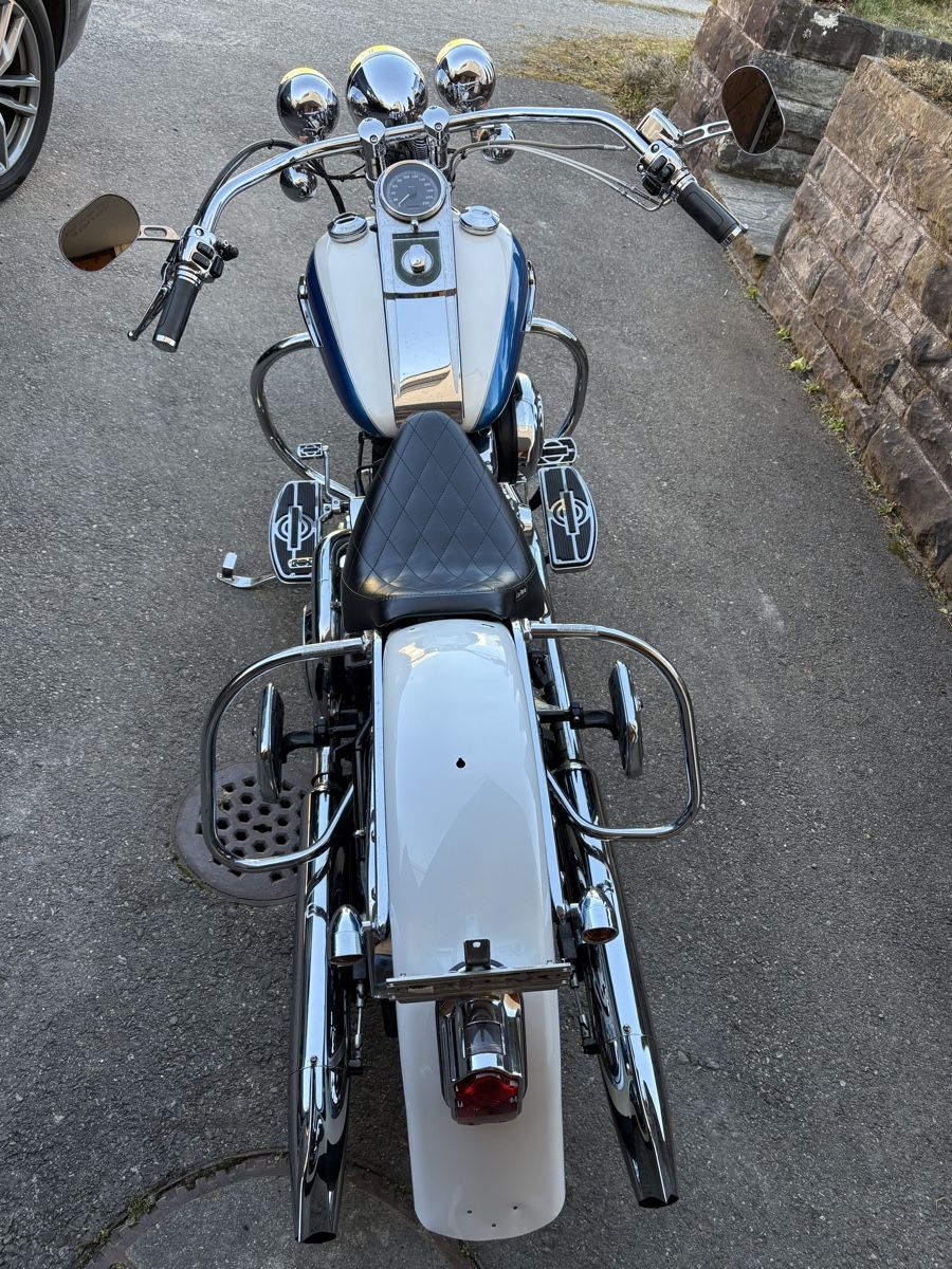 Harley-Davidson Chopper: Harley Davidson FLSTS Softail Springer – Usato da glattbrugg venduto da cheche 2