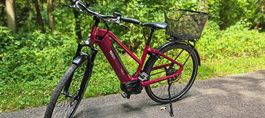 E-Bike ,Cresta E-Giro Neo - 2020 ,Bosch