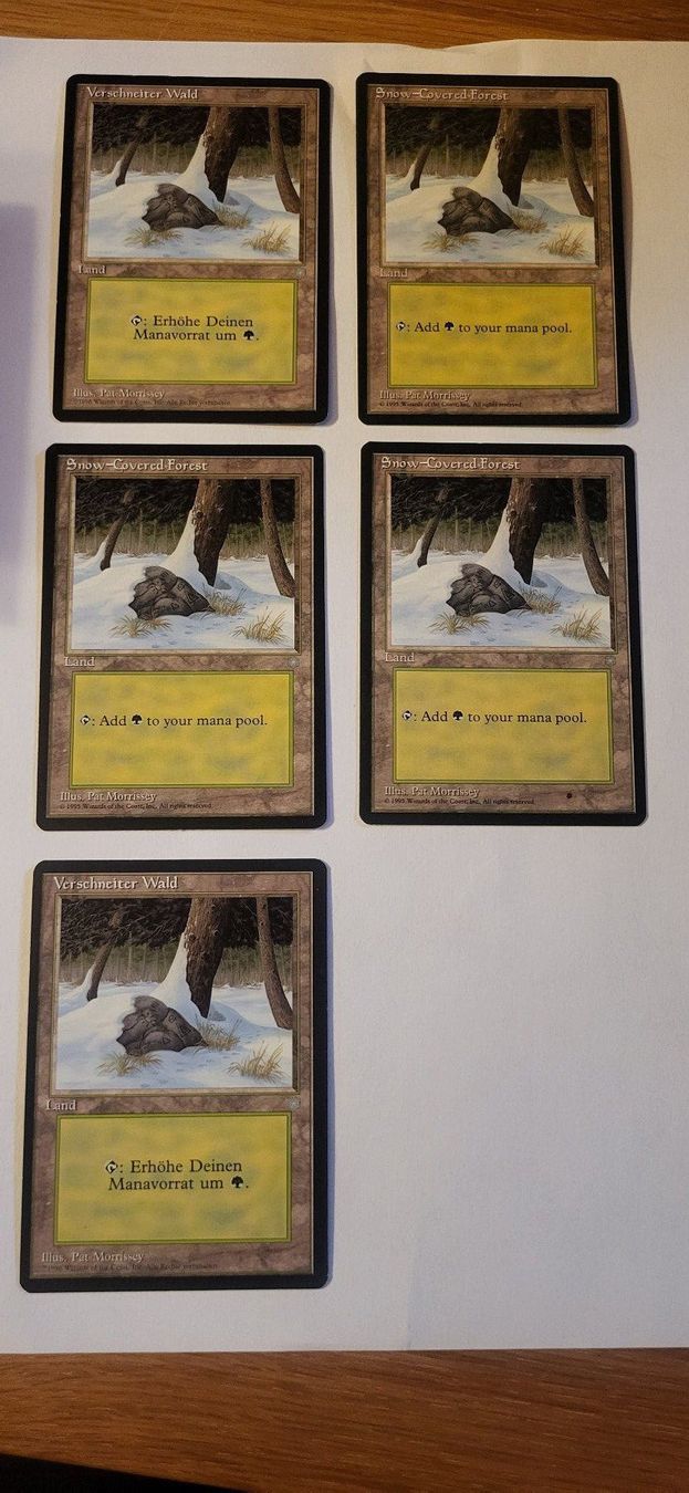 Magic The Gathering Sammelbilder & Trading cards: MTG - Verschneiter Wald – Gebraucht aus Münsingen von Heroism2010