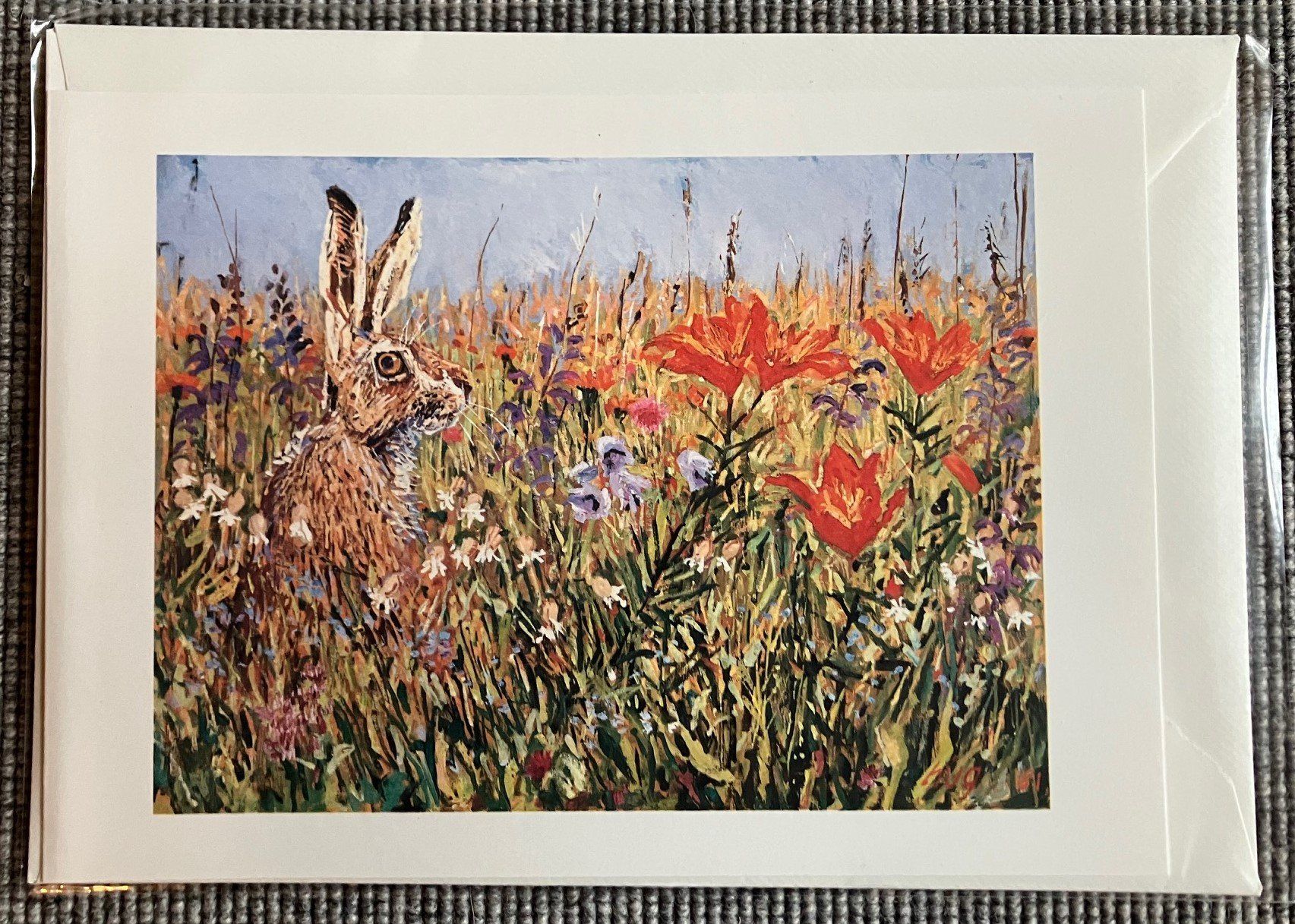 Cartoline: Fritz Hug Karten A5, 10 verschiedene Sujets – Nuovo e nell'imballaggio originale da Zürich venduto da CPH56 1