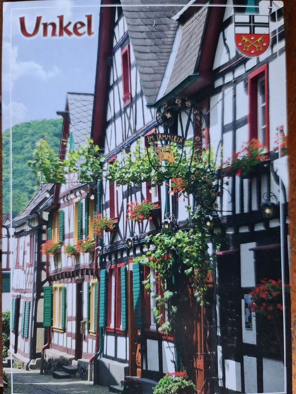 Cartoline postali: Ansichtskarte Unkel Deutschland – Usato da Dintikon venduto da Vexi