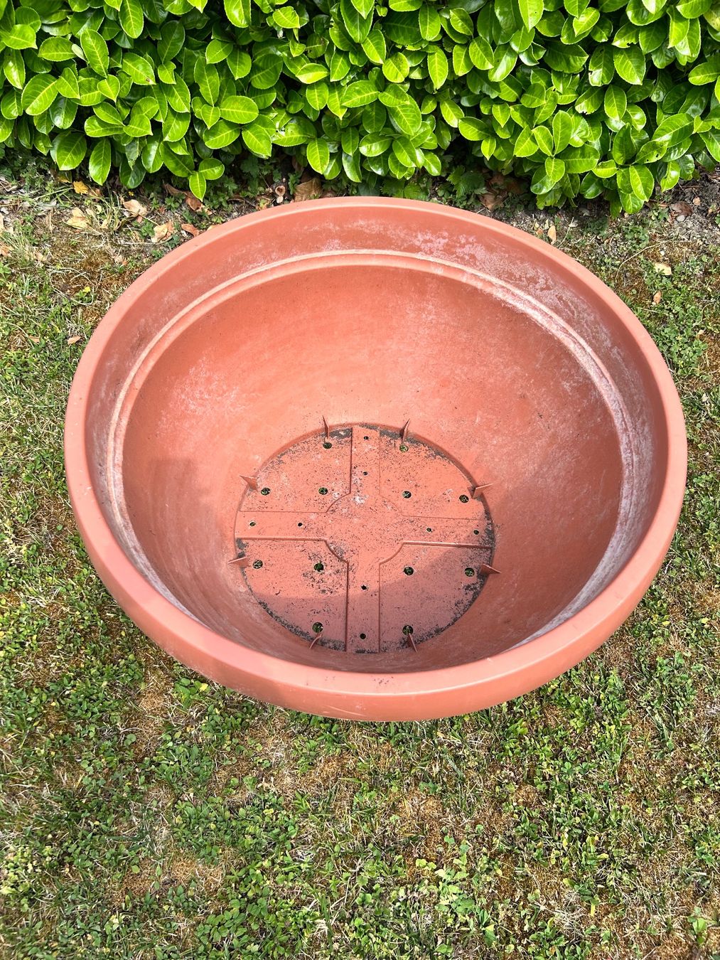 Vasi per fiori: Grosse Pflanzschale  Ø 85cm H 44cm. – Usato da Flaach venduto da Monisoldshop 3