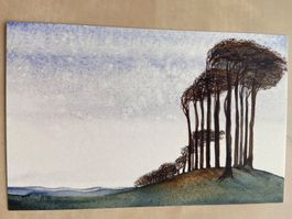 AK Natur Kunstkarte Buchen im Wind