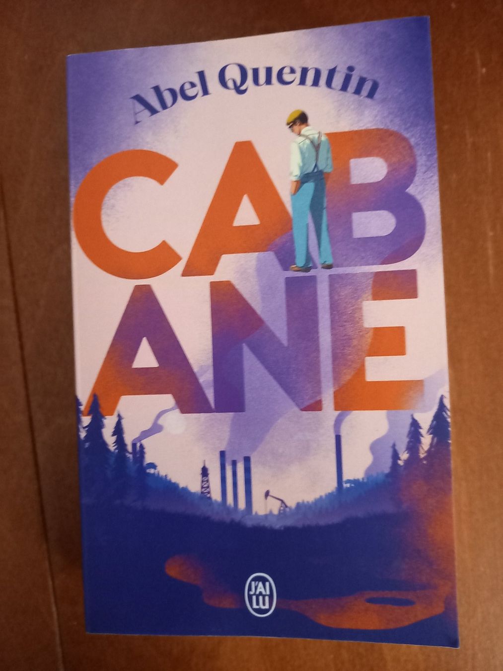 Libri: Cabane – Usato da Neuchâtel venduto da Dualseele