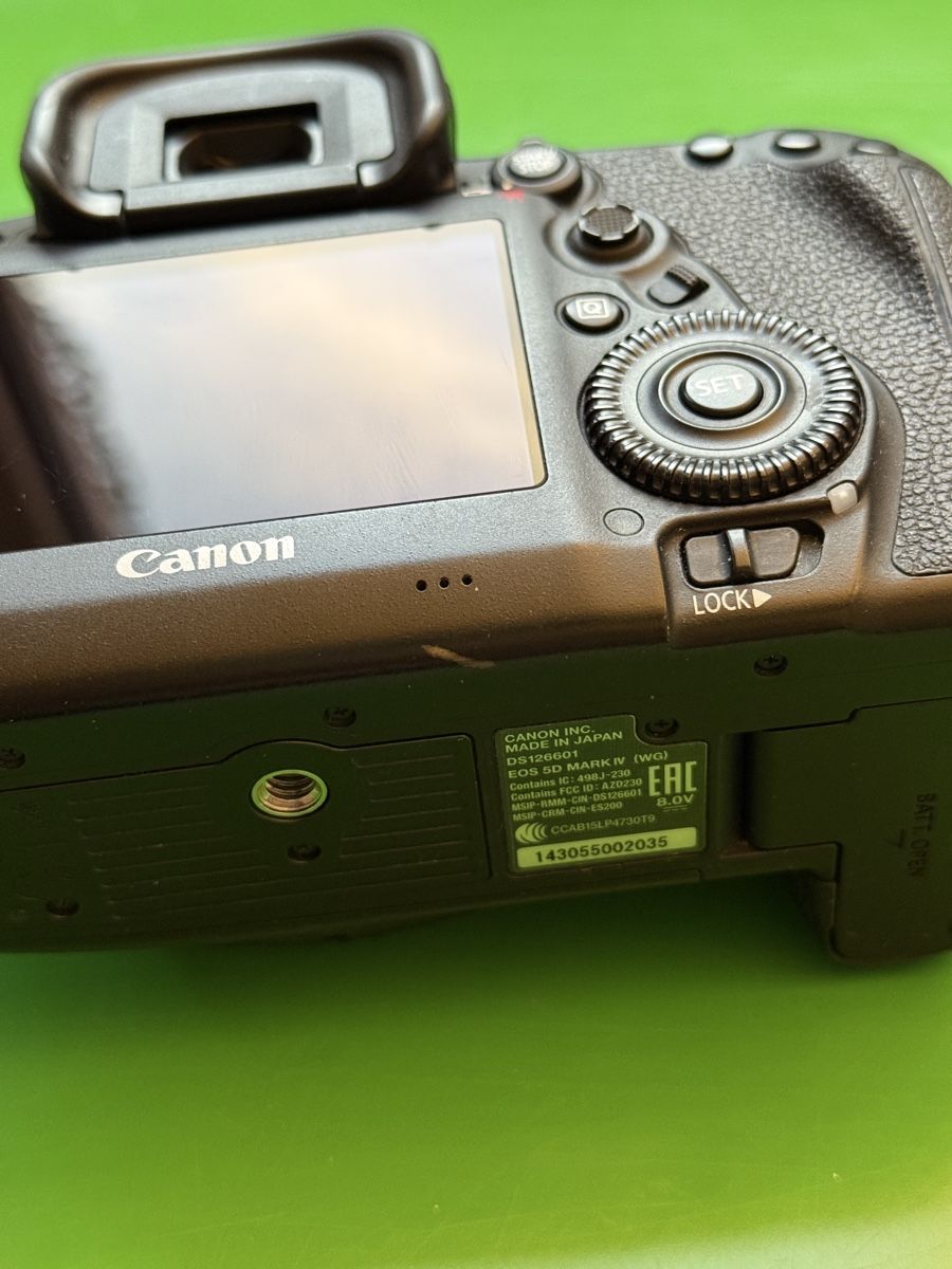 Canon Fotocamera: Canon 5d Mark IV – Usato da Zürich venduto da sh1000 2