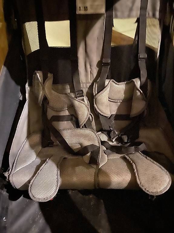 Anhänger: Doppel Kinderwagen Veloanhänger – Gebraucht aus Oeschgen von nick_ch 1