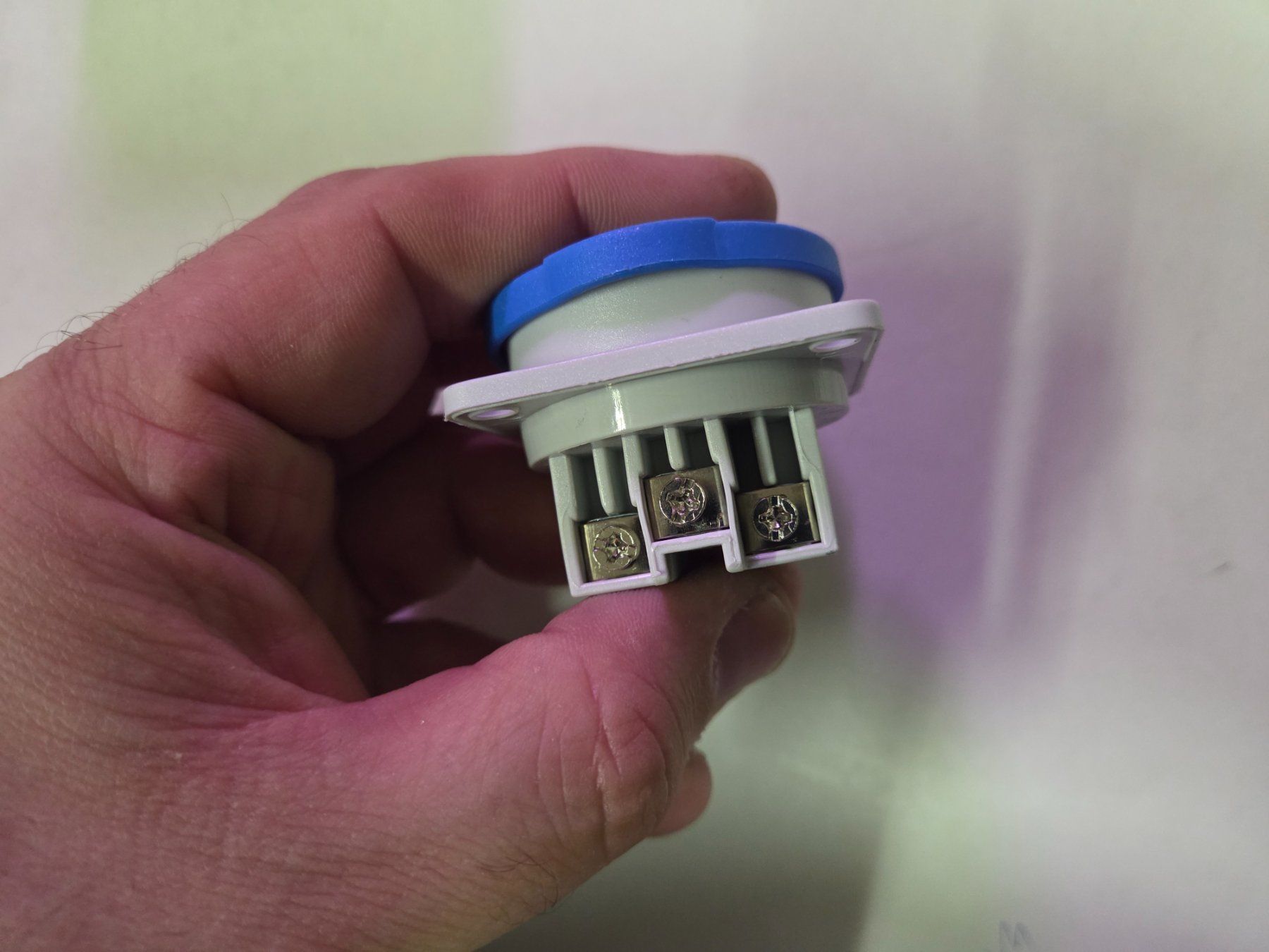 Spine: T23 Steckdose von tp electric Einbausteckdose 16a – Nuovo (secondo la descrizione) da Zürich venduto da eymen20 6