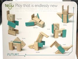 🟢 Tegu NEU Magnetische Holzbausteine Blocs bois magnétique