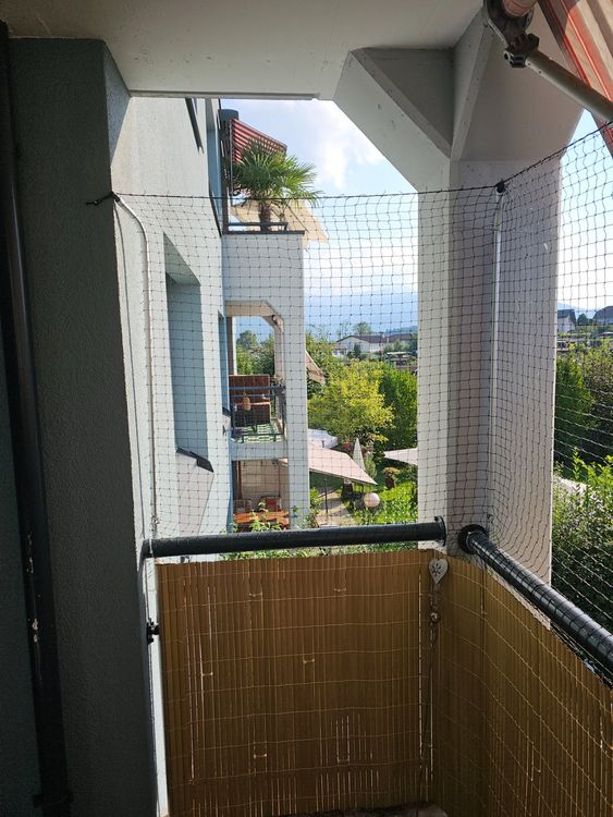 OAK Teleskopstange Katzennetz - Balkonsicherung 120-300cm