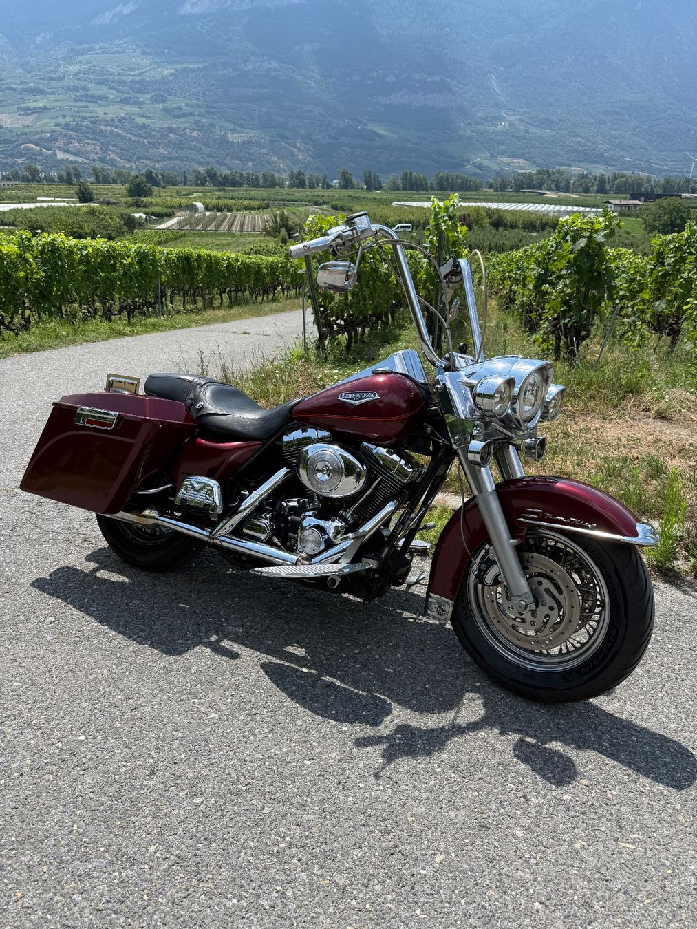 Harley-Davidson Cruisers: Harley Road King style Chicanos – D'occasion à Fully par dundee06 1