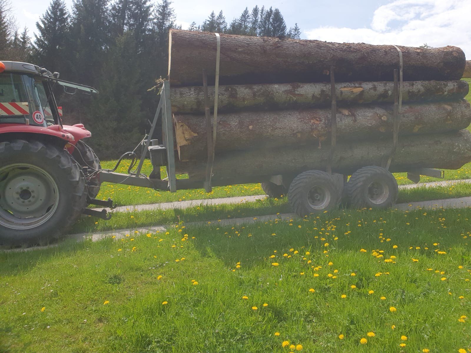 Remorques: Forstanhänger Rückewagen – D'occasion à Willerzell par fu14hu