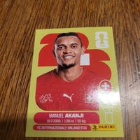 Panini26 AKANJI