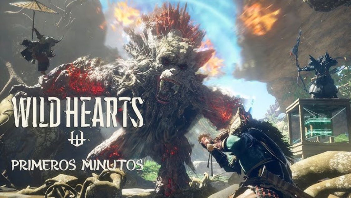 Sony Giochi: PS 5 Spiel Wildhearts – Nuovo e nell'imballaggio originale da Niederhasli venduto da nic_65cm 3