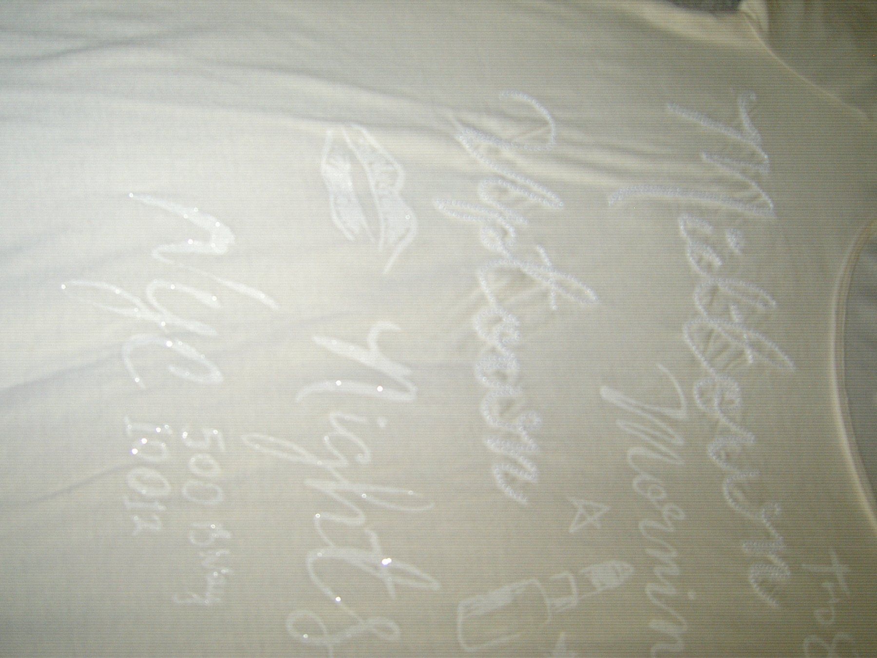 T-shirt: Tommy Hilfiger gr.Xs tshirt – Nuovo (secondo la descrizione) da Bettlach venduto da Kvety 1
