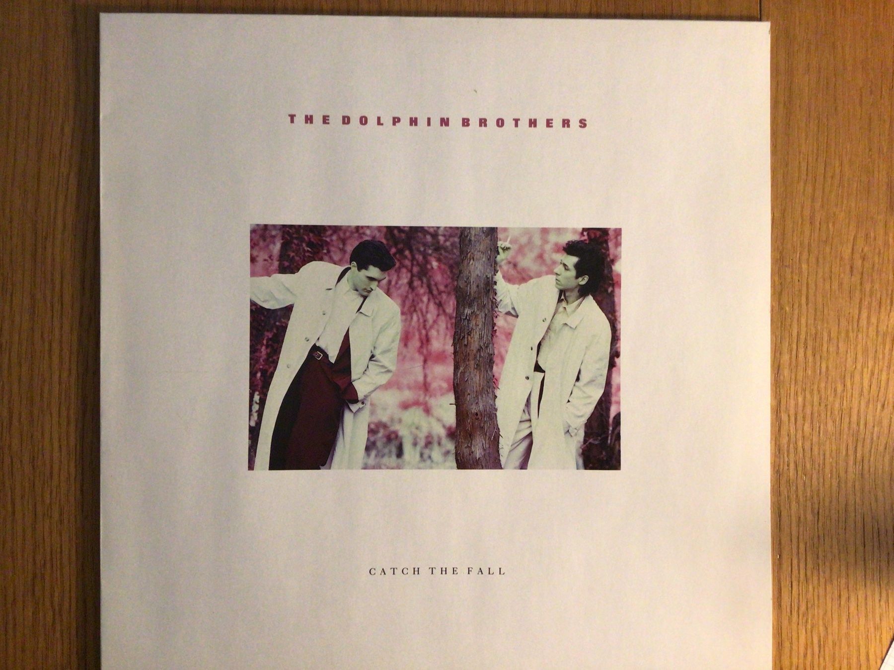 Dischi in vinile: THE DOLPHIN BROTHERS, Catch the Fall, LP, 1987 – Usato da Steinach venduto da Quarkie